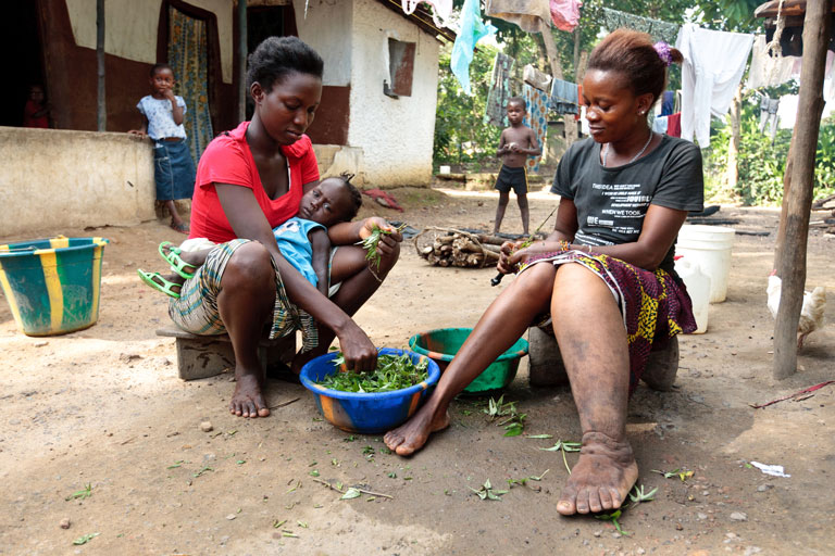 Cameroun / Les maladies Tropicales Négligées vraiment négligées