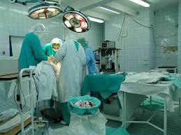 Etats-Unis d'Amérique / un homme se fait transplanter un rein de porc