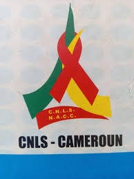 Gratuité du dépistage et de la prise en charge des malades du VIH/SIDA au Cameroun, 05 ans après où en est-on ?