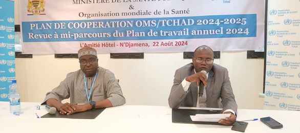 Tchad/ Plan de travail annuel 2024 volet santé, l'OMS et le Ministère de la Santé Publique à bâton rompu 